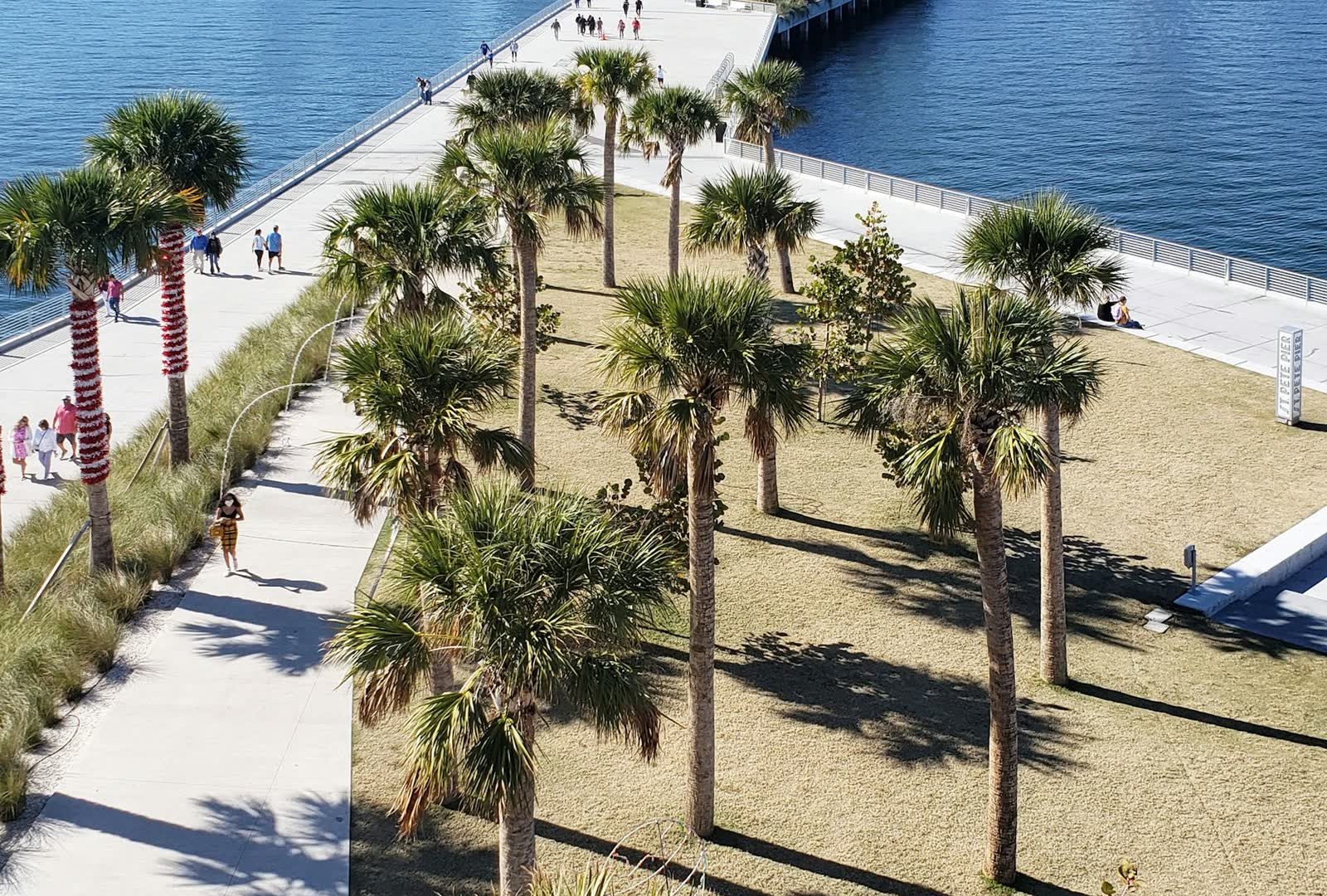 Waterfront park with palm trees and the St. Pete Pier, downtown St. Petersburg, Florida